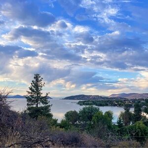 Meet your Posher, Messy